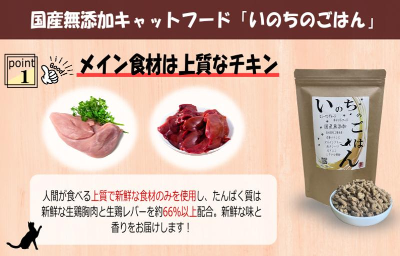 【定期便】国産 無添加 キャットフード「いのちのごはん」1kg×全3回【毎月配送コース】