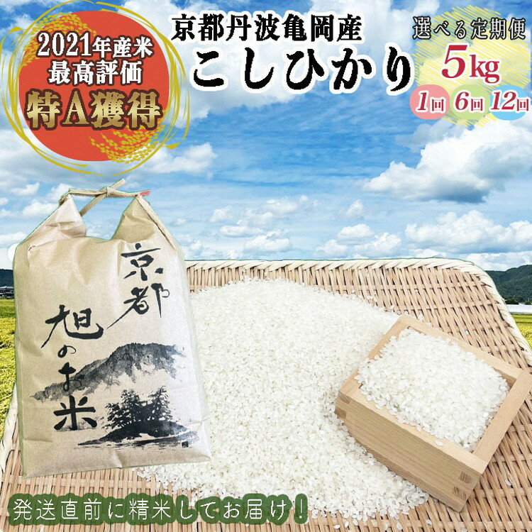 【ふるさと納税】令和7年産 コシヒカリ 先行予約 米 定期便 5kg 1回 6回 12回 丹波 亀岡産 「京都 旭のお米」なごみの里あさひ 米 新米 白米 精米 ※北海道・沖縄・離島へのお届け不可※2025年9月下旬以降順次発送