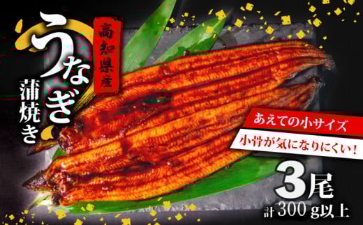 国産 うなぎ の 蒲焼き 3尾 ( 1尾 100g ~ 120g ) 尾頭付き 土用の丑の日 高知県産 蒲焼 特上 鰻 ひつまぶし うな丼 うな重 お歳暮 ギフト 冷凍 養殖 ふるさと納税うなぎ 高知県 須崎市 秘伝タレ付き 真空パック 惣菜 人気 ランキング おすすめ ME0261_x