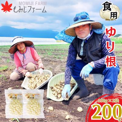 ふるさと納税 鹿屋市 【栽培期間中化学肥料不使用】ほくほくしてほんのり甘いゆり根200g(100g×2袋)　2351