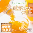 【ふるさと納税】陽蜜みかんゼリー飲めるパウチタイプ（170g×6個）西都市産陽蜜みかん 常温