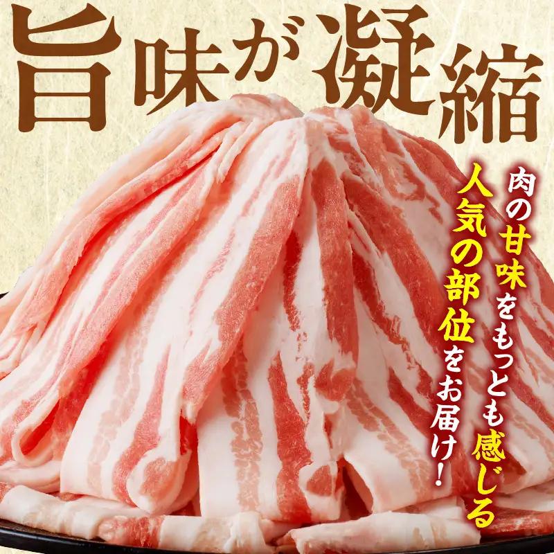 【2週間以内発送】宮崎県産豚バラスライス計1kg 肉 豚 豚肉 おかず 国産_T009-0116-2W