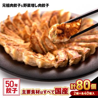 ふるさと納税 名古屋市 50年餃子　元祖肉餃子&amp;野菜増し肉餃子 各種40個入り