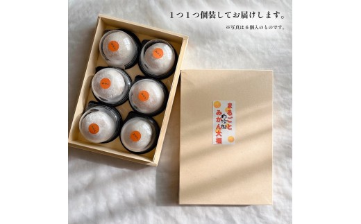 まるごとみかん大福 9個入り