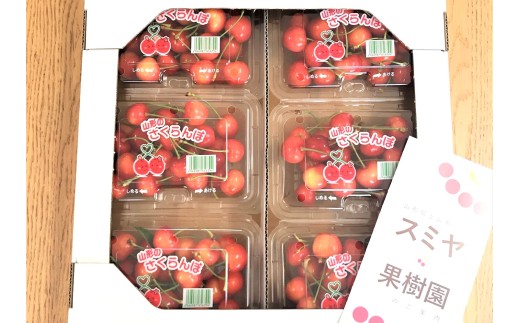 さくらんぼ（紅秀峰）１.２ｋｇ　ご家庭用　0047-2603