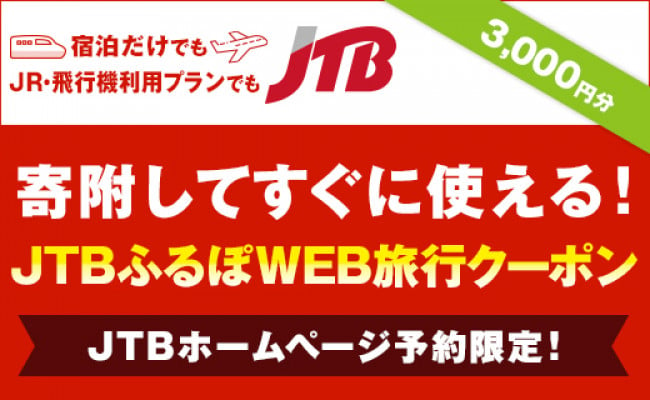 
【日光市】JTBふるぽWEB旅行クーポン（3,000円分）
