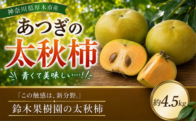 
                  【先行予約】 柿 太秋 太秋柿 約 4.5kg サイズ かき カキ 旬の柿 甘柿 サクサク シャキシャキ 果実 甘み 品種 果肉 果汁 果物 くだもの デザート フルーツ fruit 2026年産 旬の果物 旬のフルーツ 高評価 大人気 おすすめ 特産品 神奈川県産 関東 厚木市 鈴木果樹園 あつぎの柿 SFE002
                