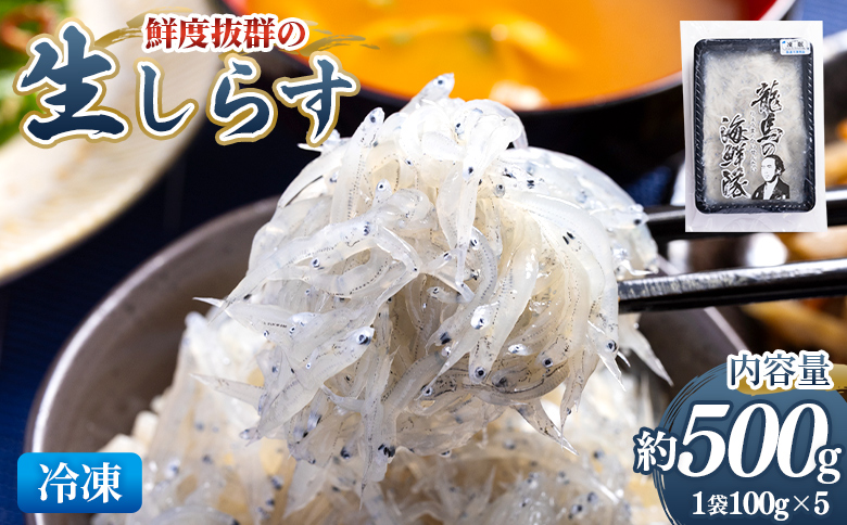鮮度抜群の生しらす 100g×5袋 - 国産 生食 小分けパック 海鮮 新鮮 そのまま 魚介 釜揚げしらす しらす丼 海鮮丼 ご飯のお供 お取り寄せ 産地直送 竜馬 龍馬の海鮮隊 野島水産 高知県 香南市 冷凍 nz-0092