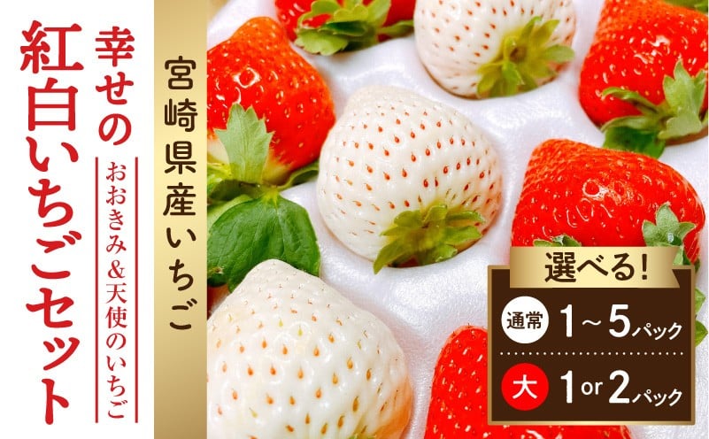 
            【選べる内容量・大きさ】《2026年発送先行予約》【数量・期間限定】宮崎県産 イチゴ 幸せの紅白いちごセット おおきみ&天使のいちご 苺 いちご ストロベリー 大きい 甘い 大粒 おおきみ 天使のいちご 果物 フルーツ スイーツ デザート ギフト プレゼント 贈り物 贈答 数量限定 旬の果物 果実 ケーキ 詰め合わせ セット 果物セット 人気 おすすめ 宮崎県 宮崎市_M260-006-SKU
          