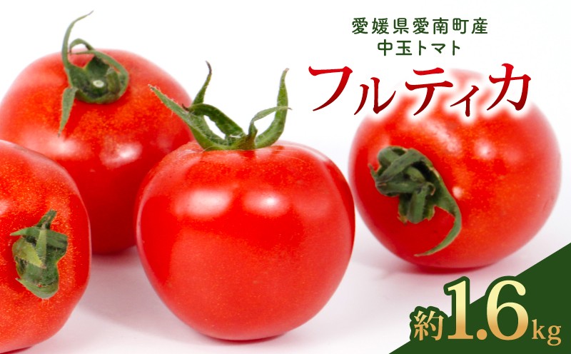 
                  フルティカ 約1.6kg 大瀧農園 トマト 完熟トマト 野菜 産地 直送 人気 国産 愛媛県 愛南町 発送期間：2026年3月1日～7月頃まで（※なくなり次第終了）
                