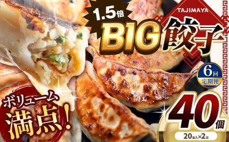 【定期便6回】たじまやオリジナルビッグ餃子 40個  