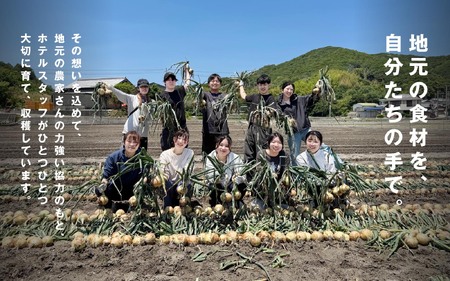 海月館 自社農場栽培！淡路島産 玉ねぎ 10kg