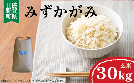 令和7年産 米 みずかがみ 玄米 30㎏ ( 1袋 ) 