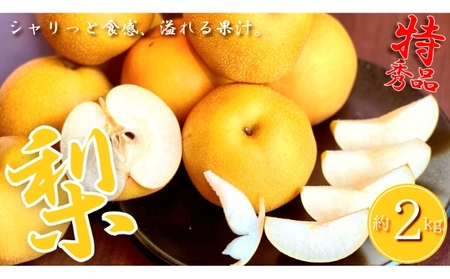 特秀品 丸亀産 梨 約2kg 梨梨梨梨 ﾅｼﾅｼﾅｼﾅｼ