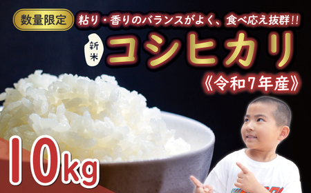 先行予約 新米 令和7年産 コシヒカリ 10kg 25000円 お米 白米 精米 米 こめ 産地直送 国産 農家直送 期間限定 数量限定 特産品 先行 事前 受付 令和7年度産 2025年産 もっちり 粘り 甘み おいしい おにぎり こしひかり 内祝い お祝い 贈答品 お返し プレゼント ギフト 土産 御礼 お礼 お取り寄せ えひめ南農業協同組合 愛南町 愛媛県