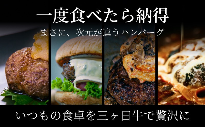 次元ハンバーグ120g×12個 【配送不可：離島】金乃縁 ハンバーグ 冷凍 国産 三ヶ日牛 牛肉 トリュフ風味 ギフト 冷凍食品 惣菜 静岡 浜松市