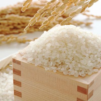 ふるさと納税 春日市 【春日】米食べ比べ「夢つくし&元気つくし」各2.5kg |  | 02