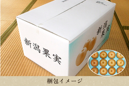 和梨 南水 3kg（6～8玉）《9月中旬から順次発送》果物 なんすい なし 梨 フルーツ 新鮮 ジューシー 産地 加茂市 樋口農園