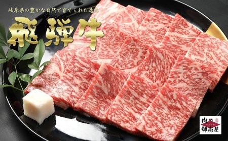 【冷蔵配送】飛騨牛食べ比べセット　5回　A4～A5・焼肉・しゃぶしゃぶ・すき焼き・牛肉