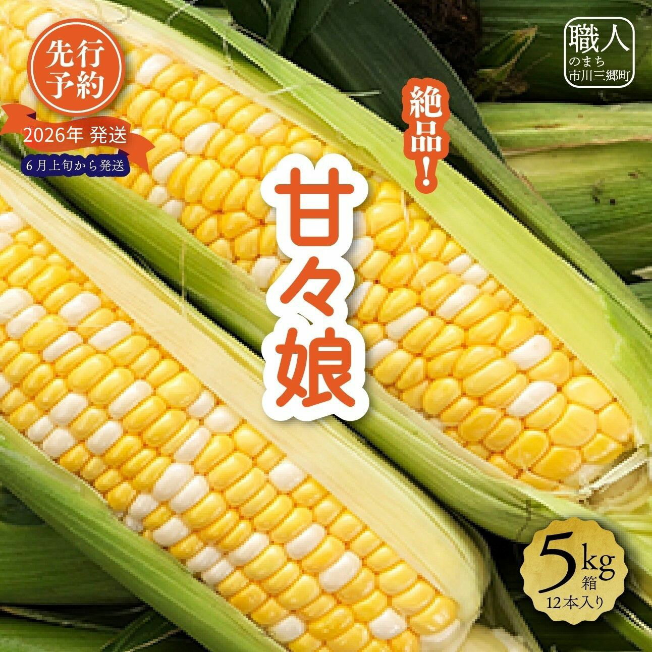 【ふるさと納税】 とうもろこし 甘々娘 かんかんむすめ 12本入り 5kg箱 市川三郷町産 スイートコーン 産地直送 採れたて 朝採り じろう農園[5839-1336]