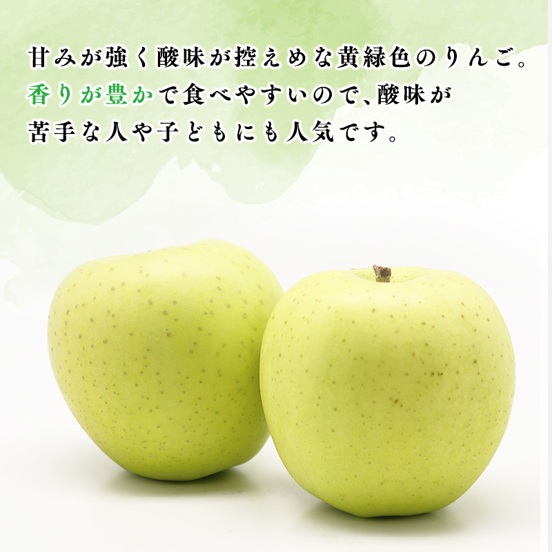 【令和7年産受付】贈答用王林約5kg【青森県平川市産・青森りんご】