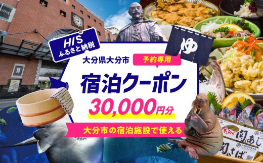 HISふるさと納税宿泊予約専用クーポン（大分県大分市）30,000円分 旅行 宿泊 クーポン HIS 宿泊予約 観光 ホテル 予約 30000円 温泉 地域限定 大分市 大分県 O01025