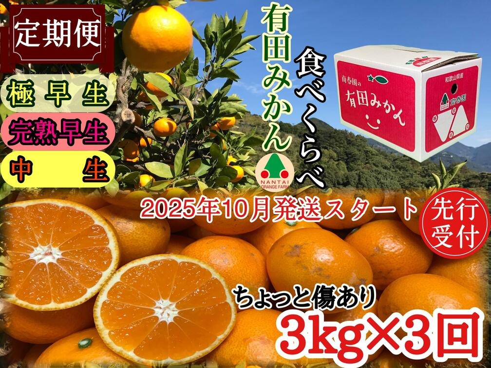 定期便 先行受付2025年 10月発送スタート ちょっと 傷あり 3kg × 3回 コース 有田みかん 食べくらべ 3種 南泰園 BS861