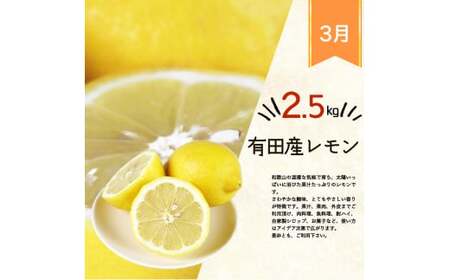 定期便 【全3回】果物定期便 あんぽ柿 レモン 桃【tkb391】