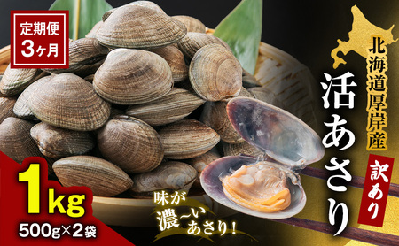 3ヵ月定期便 訳あり 厚岸産活あさり 500g×2 あさり