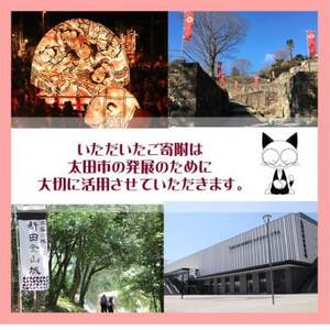 【返礼品なし】群馬県太田市への寄附(1,000円)