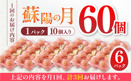 【全3回定期便】蘇陽の月 こだわり卵 60個入り ( 10個入り × 6パック ) 山都町卵 熊本県産卵 卵 新鮮卵 高品質卵 卵 小分け卵 卵焼き パック卵 高評価卵 美味しい卵 笑顔の卵 卵かけご