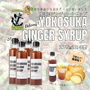 【ふるさと納税】横須賀ジンジャーシロップ 275ml×4本 ジンジャーシロップ 生姜 健康 調味料 ギフト お土産 横須賀 ジンジャーエール【有限会社たのし屋本舗】[AKAE032]