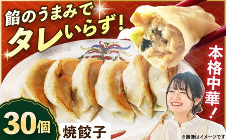 冷凍 焼餃子 30個 餃子餃子餃子餃子餃子 [AKED002]