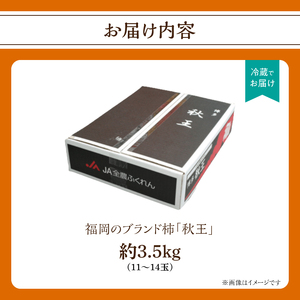 秋の贅沢、濃厚であま～い柿の新ブランド「秋王」約3.5 kg 072-197