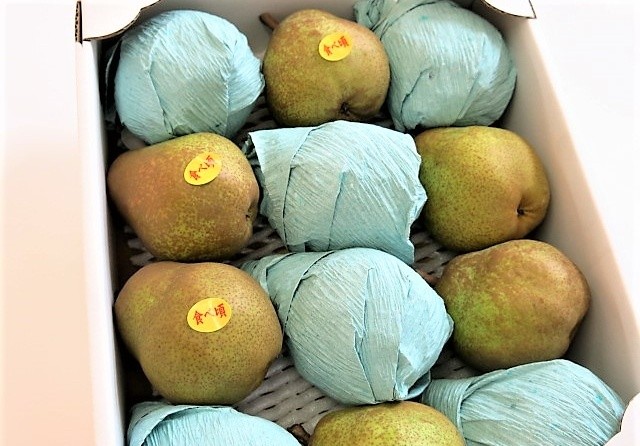 
                  西洋梨（ラ・フランスまたはゴールドラ・フランス）３.５ｋｇ　ご家庭用　0075-2607
                