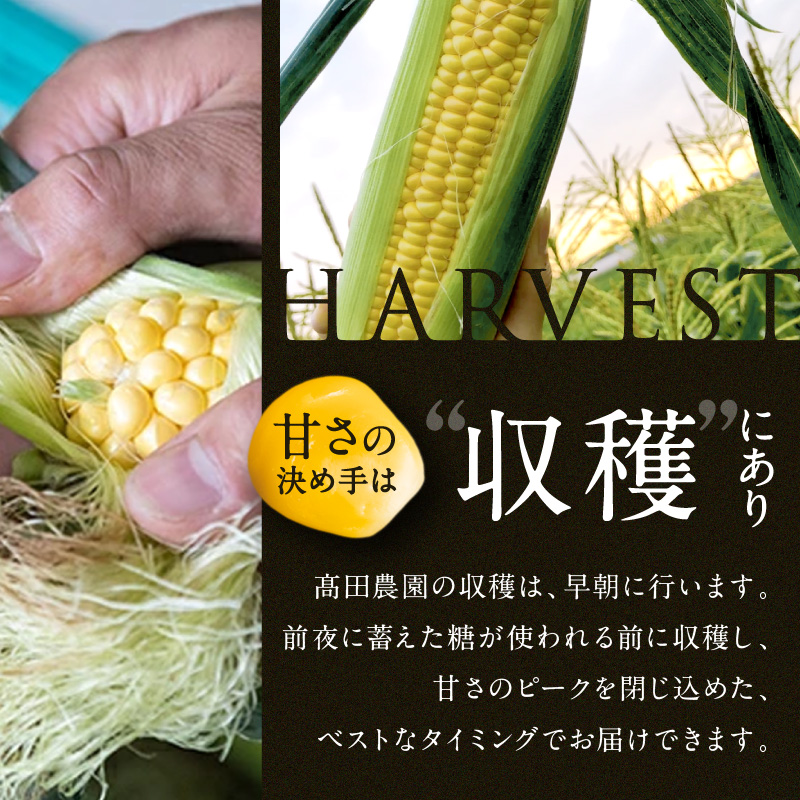 ［2026年先行予約］牛窓産とうもろこし まるでフルーツ！最高糖度25度超え 生で甘い、茹でて美味い！ 黄色 とうもろこし 「桃太郎コーン」約4kg（8～12本入り） 野菜 
