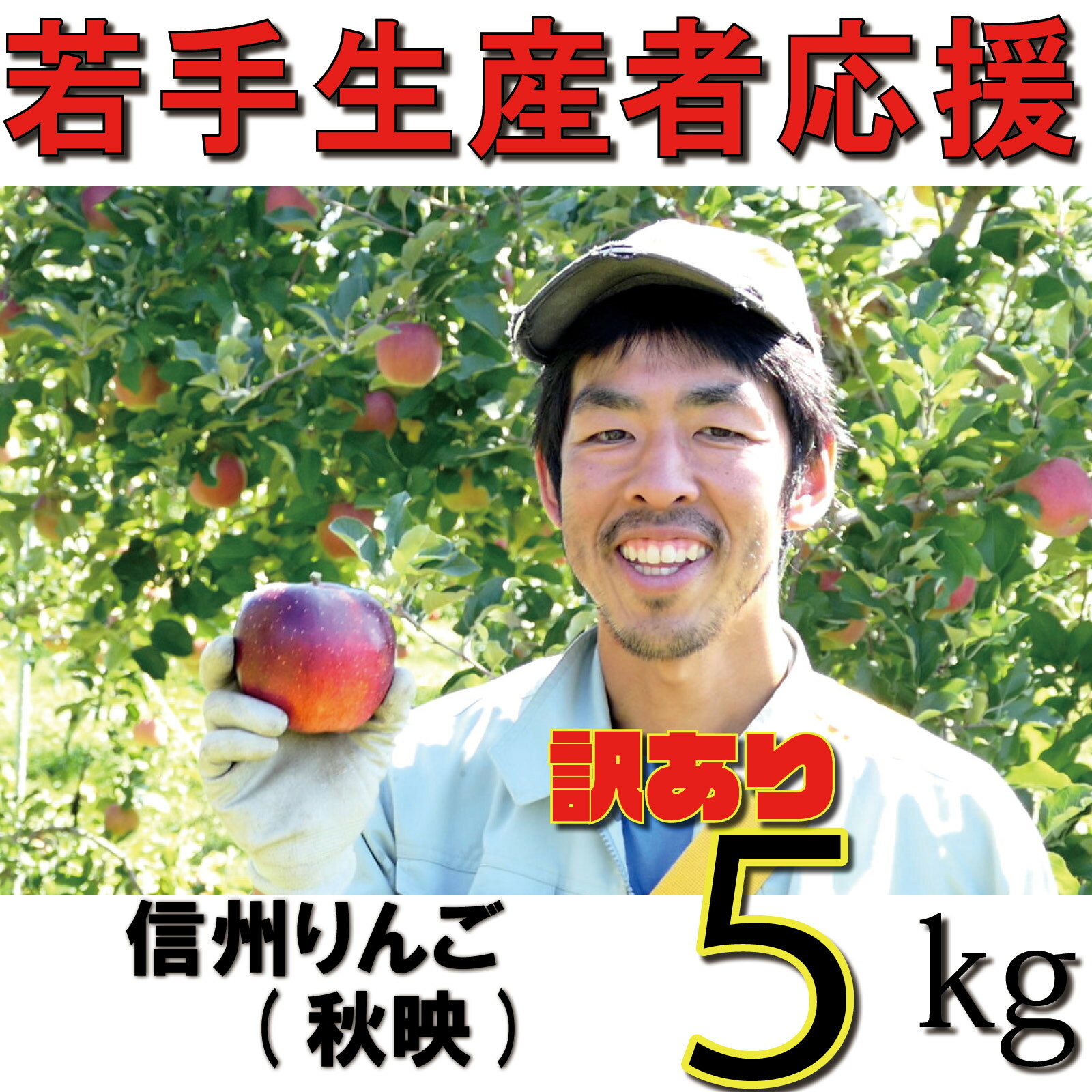 【ふるさと納税】【2026年 先行予約 令和8年産】 訳あり りんご 5kg 【若手生産者応援】 秋映 川上啓介 果物 フルーツ 先行 予約 信州 麻績村 不揃い 規格外 家庭用