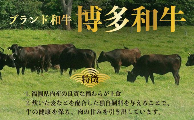 A5～A4等級！博多和牛 ヒレ シャトーブリアン 3枚（計450g）