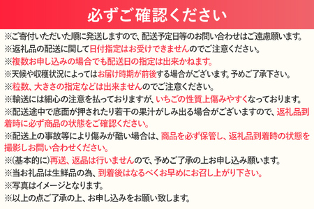 【2027年発送先行予約】厳選大粒あまおう(約250‐270g x 4パック) お取り寄せグルメ お取り寄せ 福岡 お土産 九州 福岡土産 取り寄せ グルメ 福岡県