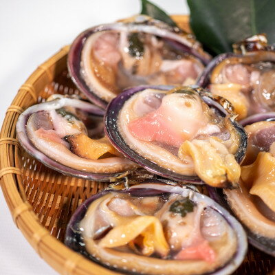 【ふるさと納税】 天然 大あさり 希少 5〜7切 ( 約 1kg ) 冷凍 下処理済み 海鮮 魚介 貝 三河湾 おすすめ 人気 愛知県 南知多町 【配送不可地域：離島】