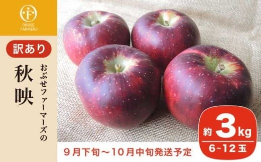 【訳あり】 秋映 約3kg 6～12玉［おぶせファーマーズ］