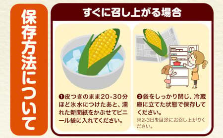 朝採れ直送！ とうもろこし おおもの 甘い 約5kg 13本入 2Lサイズ 七戸宏大《7月下旬-8月下旬出荷》岩手県 九戸村 トウモロコシ 5kg スイートコーン 新鮮 冷蔵 送料無料