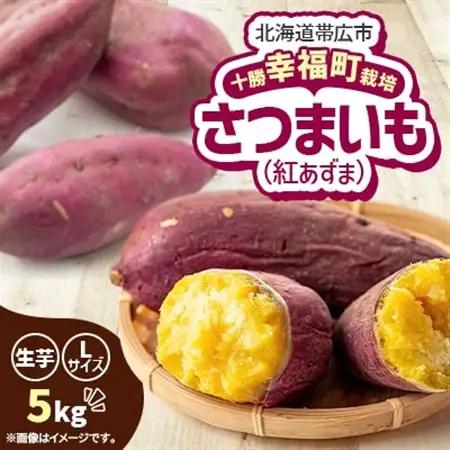【先行受付】直送!十勝「幸福」さつまいも(紅あずま)Lサイズ5kg_野菜 さつまいも いも サツマイモ 薩摩芋_【1490879】