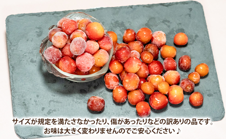 訳アリ 500g 2パック 美味しい 北海道 訳アリ 冷凍