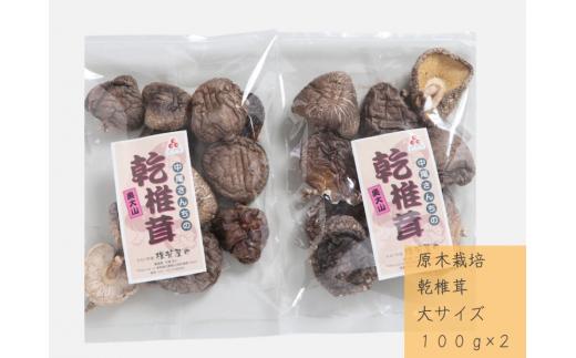 中尾さんちの乾椎茸 大 100g 2袋 原木栽培  大きいサイズ 干しシイタケ / SAC中尾 椎茸屋 0799
