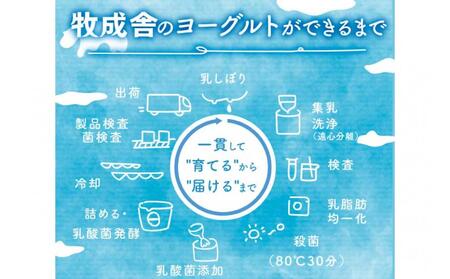 ＜牧成舎＞ 飛騨の牛乳屋さんのこだわり ヨーグルト 12個 砂糖不使用ヨーグルト DF038