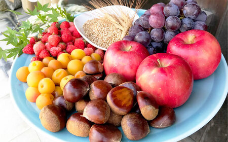 水口酒造 道後ジン「六媛」200ml　クラフトジン スピリッツ 愛媛