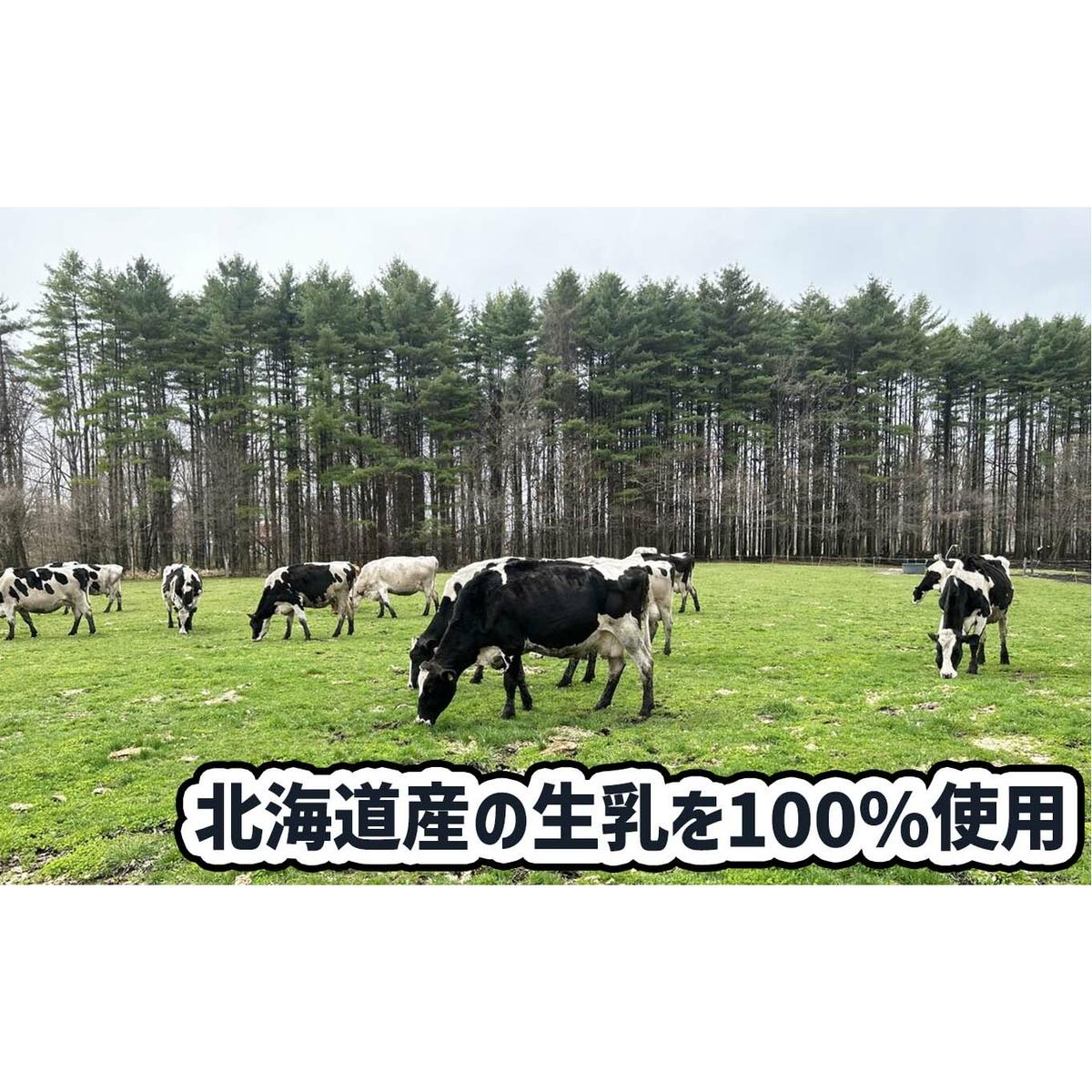 ＜ 12ヶ月 定期便 ＞ 北海道産 生乳100％ みるく の 花冠 ソフト クリーム 10個 アイス アイスクリーム ソフトクリーム ミルク 冷凍 北海道 新ひだか町_イメージ4