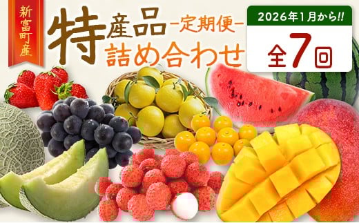 
            ＜数量限定＞新富町 特産フルーツ 詰め合わせ 定期便 7か月コース くだもの マンゴー ライチ メロン 柑橘 国産【F150-26】
          