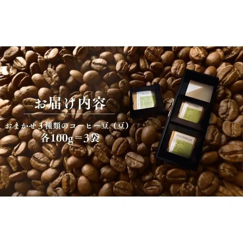 コーヒー 自家焙煎 おまかせ 3種 定期便 コーヒー